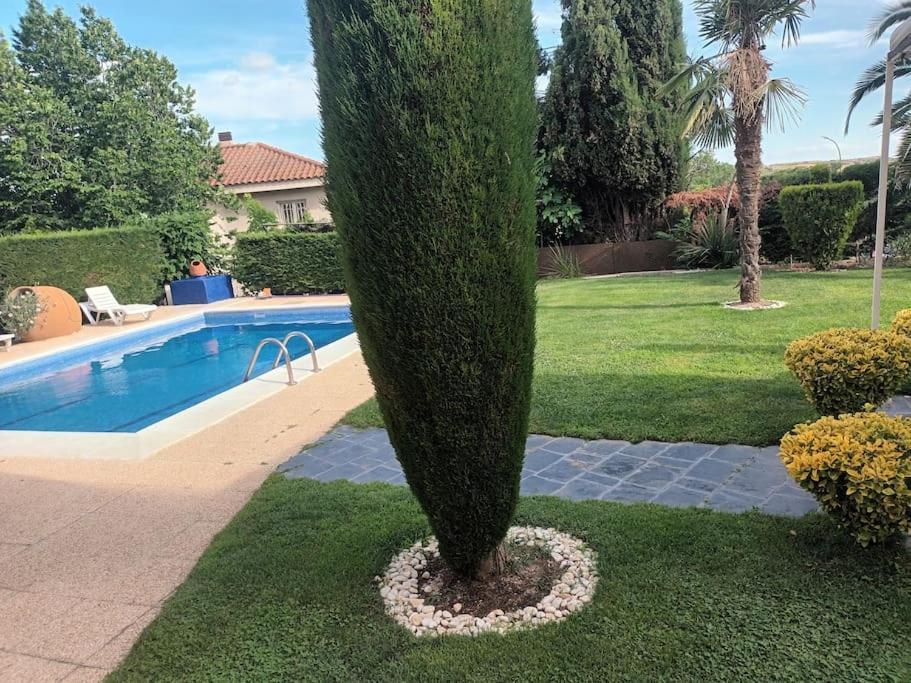 Madrid City Modern Apartment In Villa, Free Wifi Аройомолинос Екстериор снимка